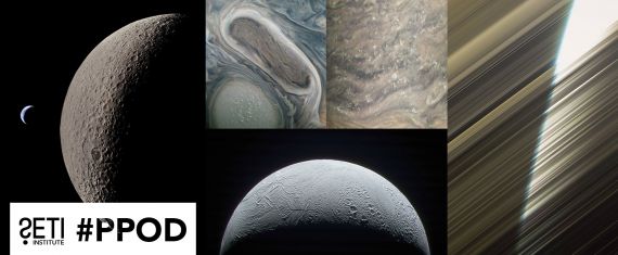Collage of the PPOD Images