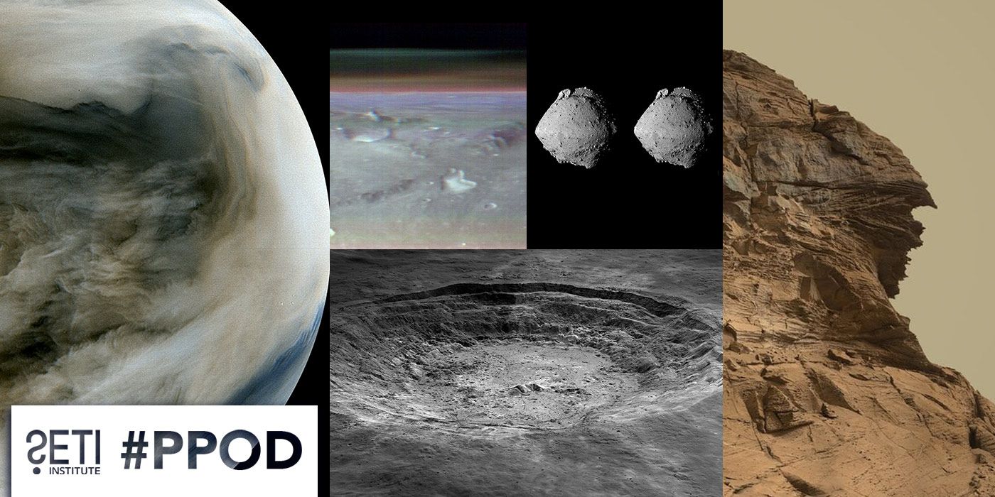 PPOD Collage